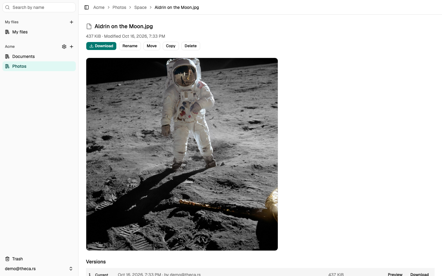 A file's page: its preview and its versions